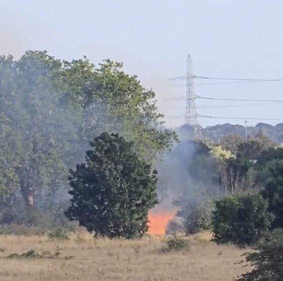 Major Fire Erupts at Beam Valley Country Park in Dagenham