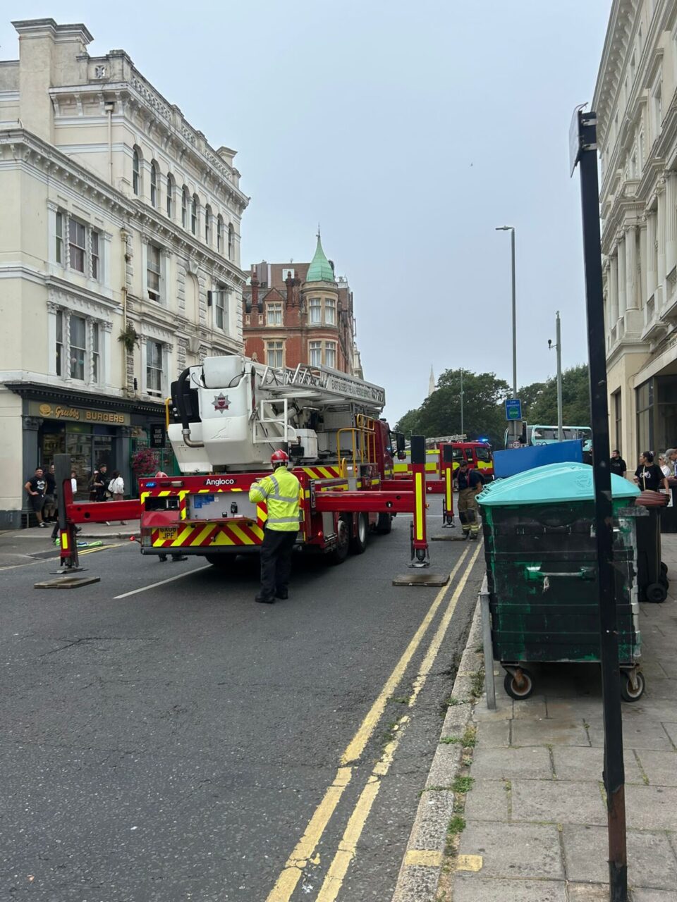 Seagull Rescued from Rooftop in Hove After Getting Trapped in Netting