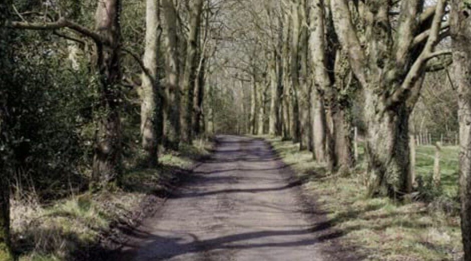 Sexual Assault Investigation Launched After Woman Followed from Nymans Woods in Handcross