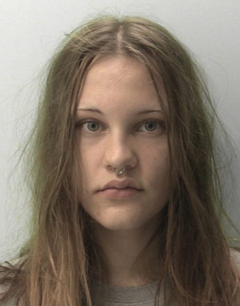 Urgent Search Underway for Missing 21-Year-Old Woman in Haldon Forest Area