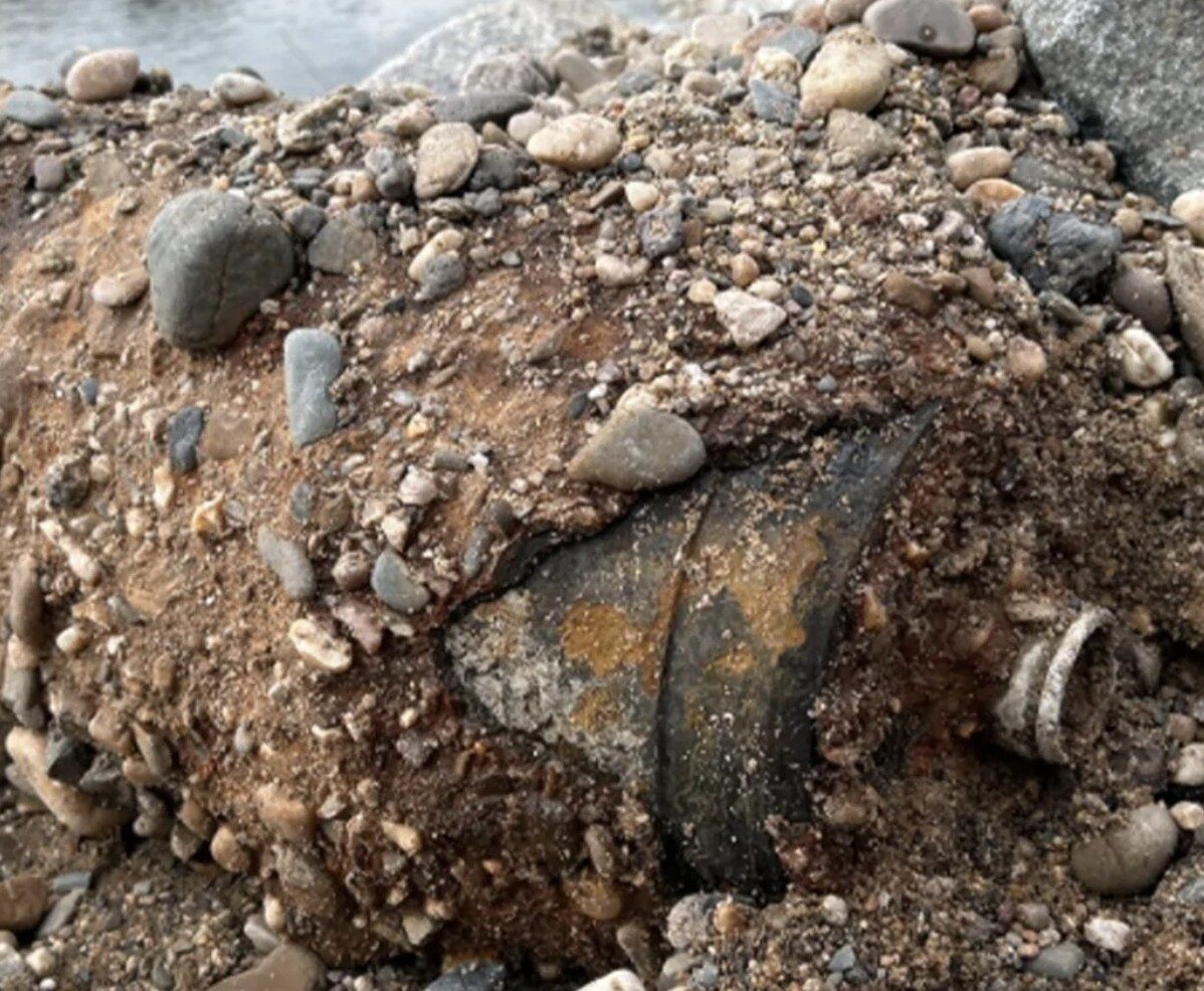 17,000 Evacuated in Dresden After Unexploded 500lb WWII British Bomb Found