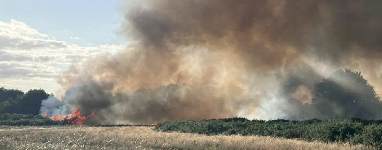 Major Incident Declared as Heath Fire Rages at Holt Heath Near Wimborne