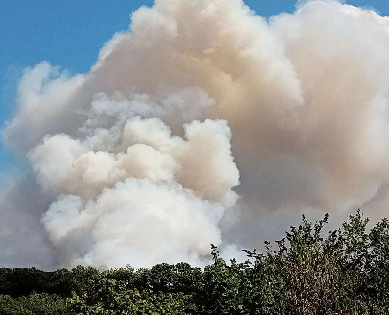 Major Incident Declared as Heath Fire Rages at Holt Heath Near Wimborne