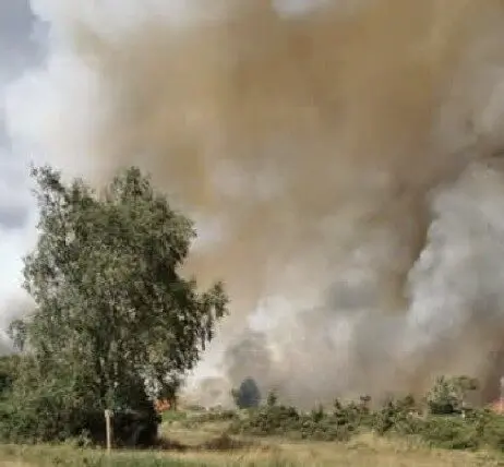 Major Incident Declared as Heath Fire Rages at Holt Heath Near Wimborne