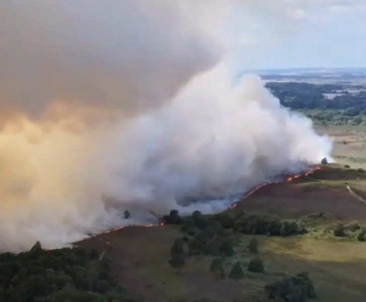 Firefighters Battle Major Blaze at Holt Heath as Wildfire Risk Remains High