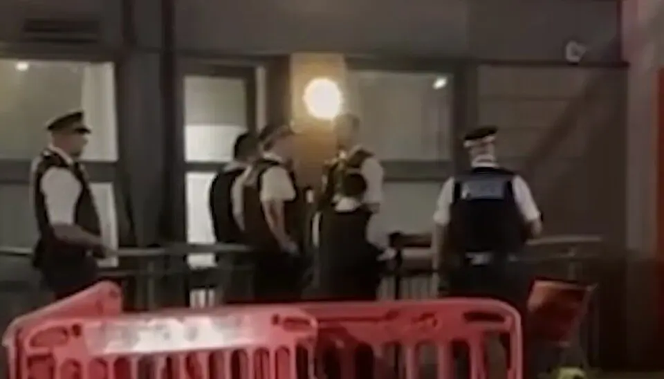 Woman Remanded After Meat Cleaver Incident Outside Migrant Hotel in Canary Wharf