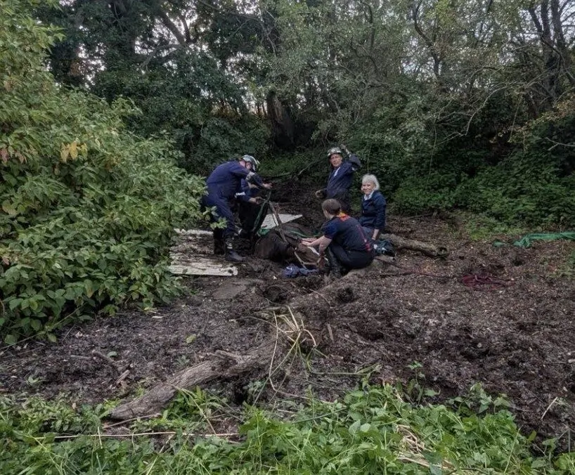 Shropshire Fire Crews Free Horse Trapped in Muddy Pond