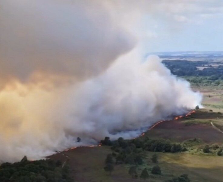 Firefighters Battle Major Blaze at Holt Heath as Wildfire Risk Remains High