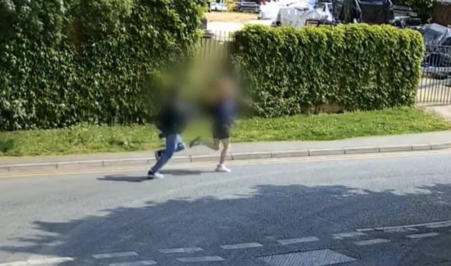 ‘Sadistic’ Teenagers Jailed for Torture and Killing of Kittens in North-West London