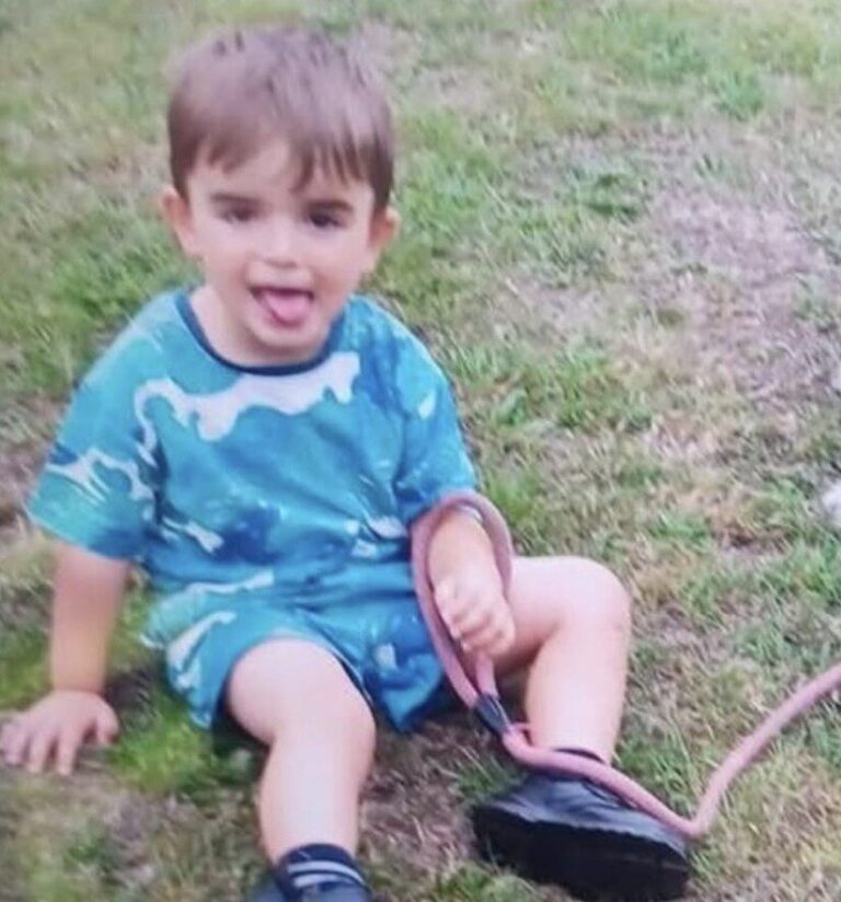 Urgent Search Underway for Missing Three-Year-Old Boy at Cayton Bay Holiday Park