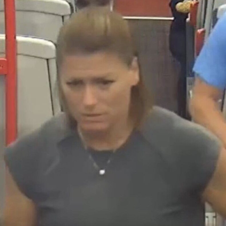 Woman Assaulted at Llanelli Railway Station — British Transport Police Release CCTV Image