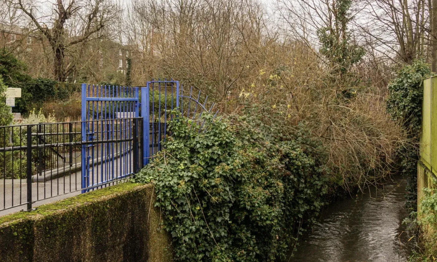 Police Investigate Sexual Assault in Lewisham Park