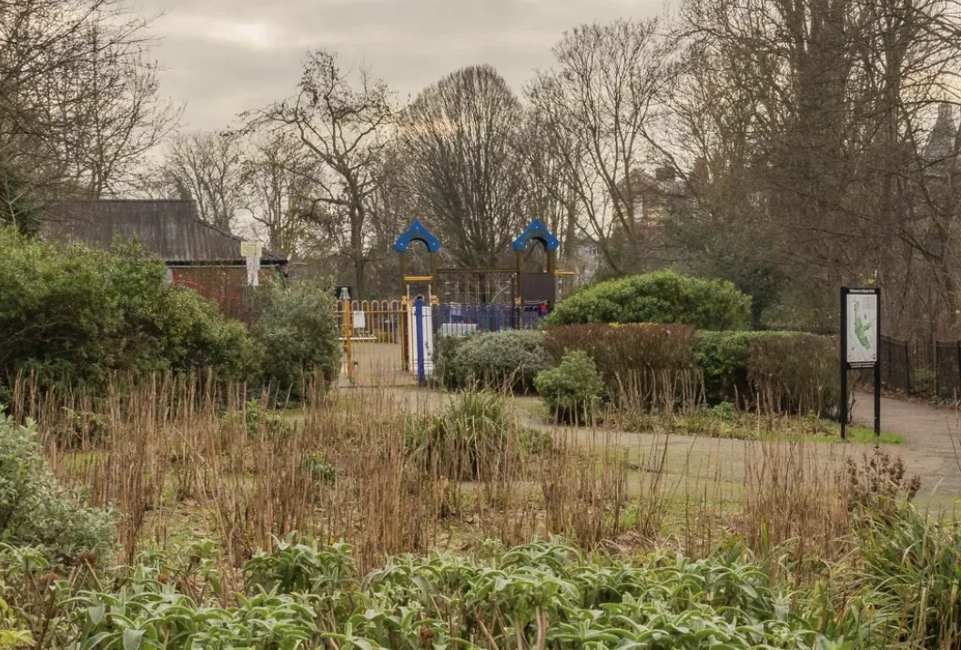 Police Investigate Sexual Assault in Lewisham Park