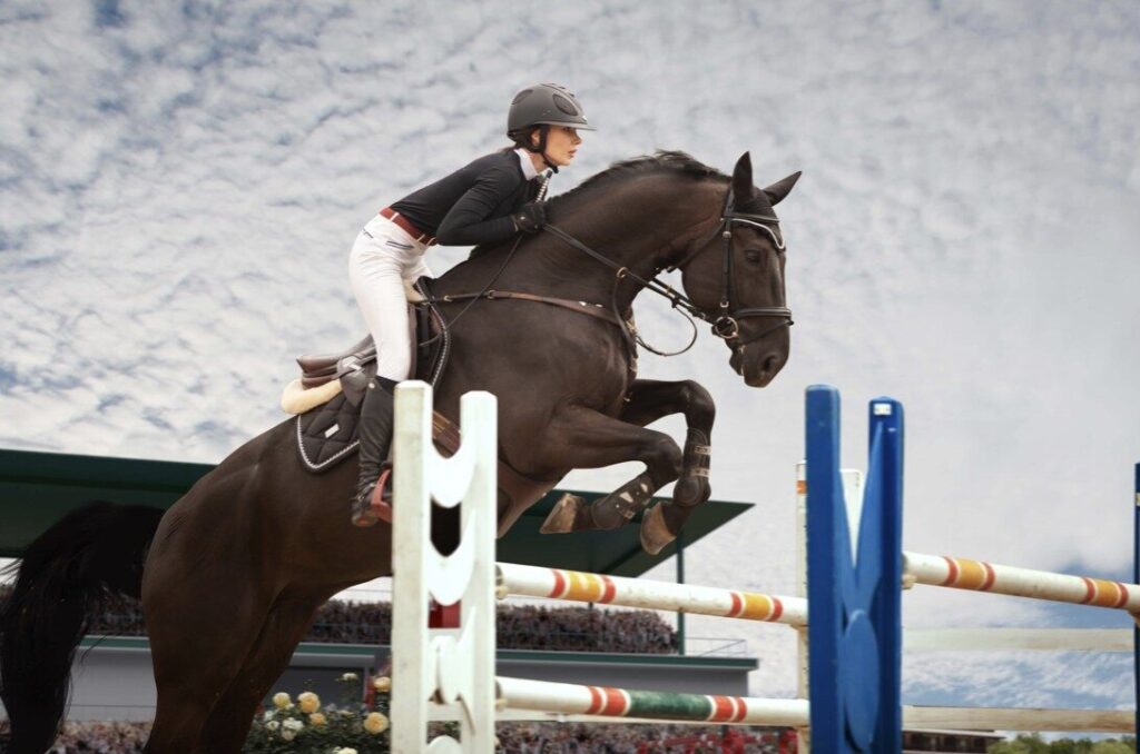 How live horse racing betting works: real-time odds and strategy – UKNIP