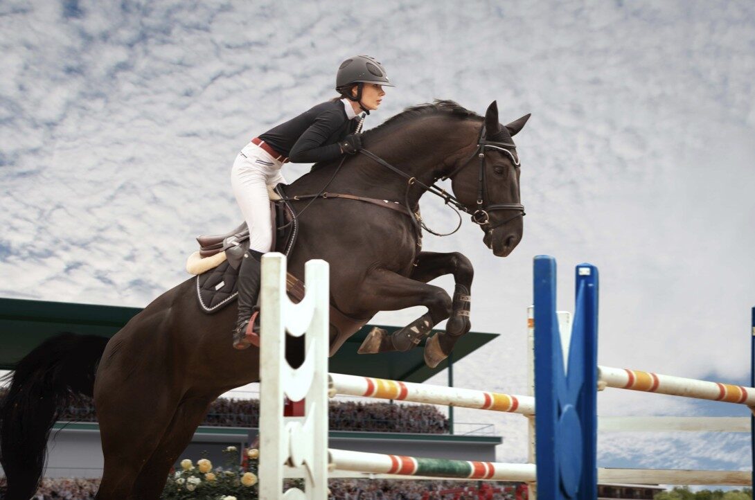 How live horse racing betting works: real-time odds and strategy – UKNIP