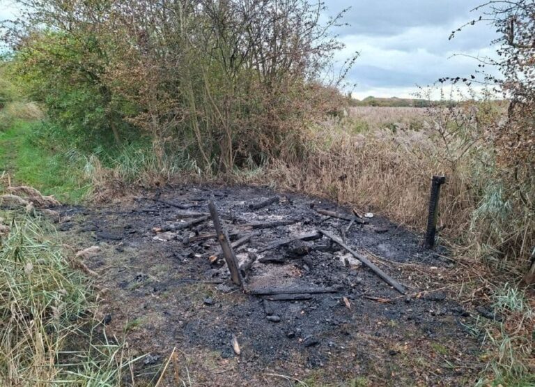 Bird House Fire 25 Oct 2