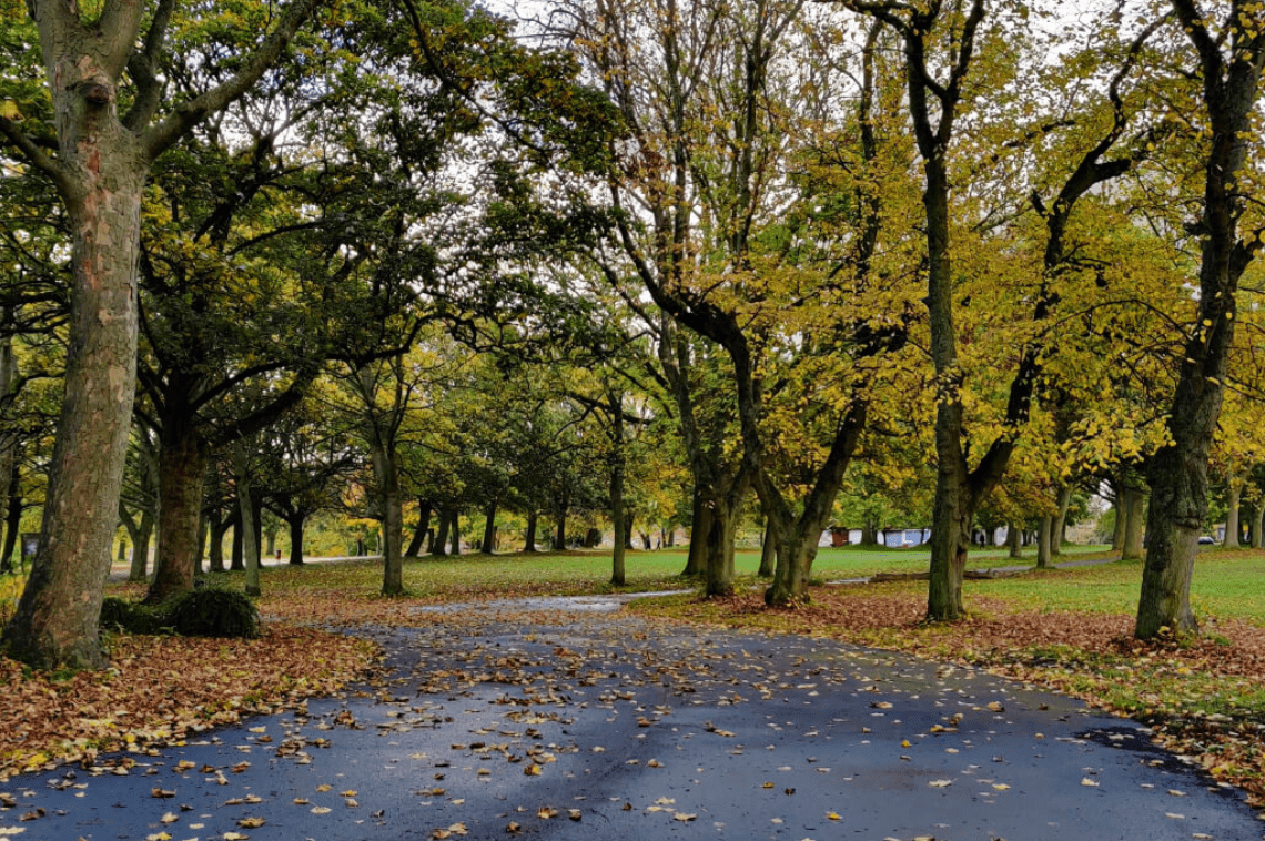 Three Shocking Sexual Assaults Spark Police Hunt in Leeds Park – UKNIP