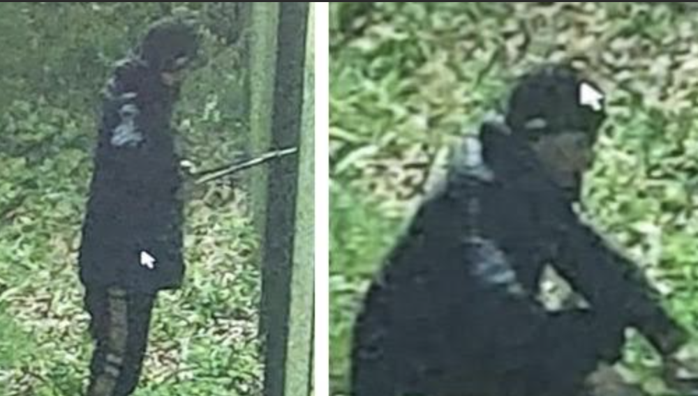 CCTV appeal after attempted burglary - Dover