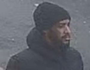 Liverpudlian Jailed for Stamping to Death a Gull in Blackpool