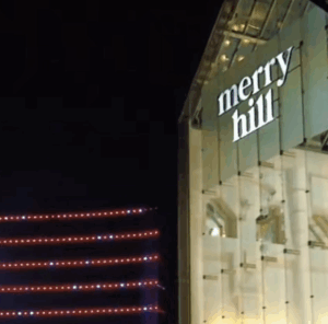 Teen Arrested After Machete Attack at Merry Hill Centre