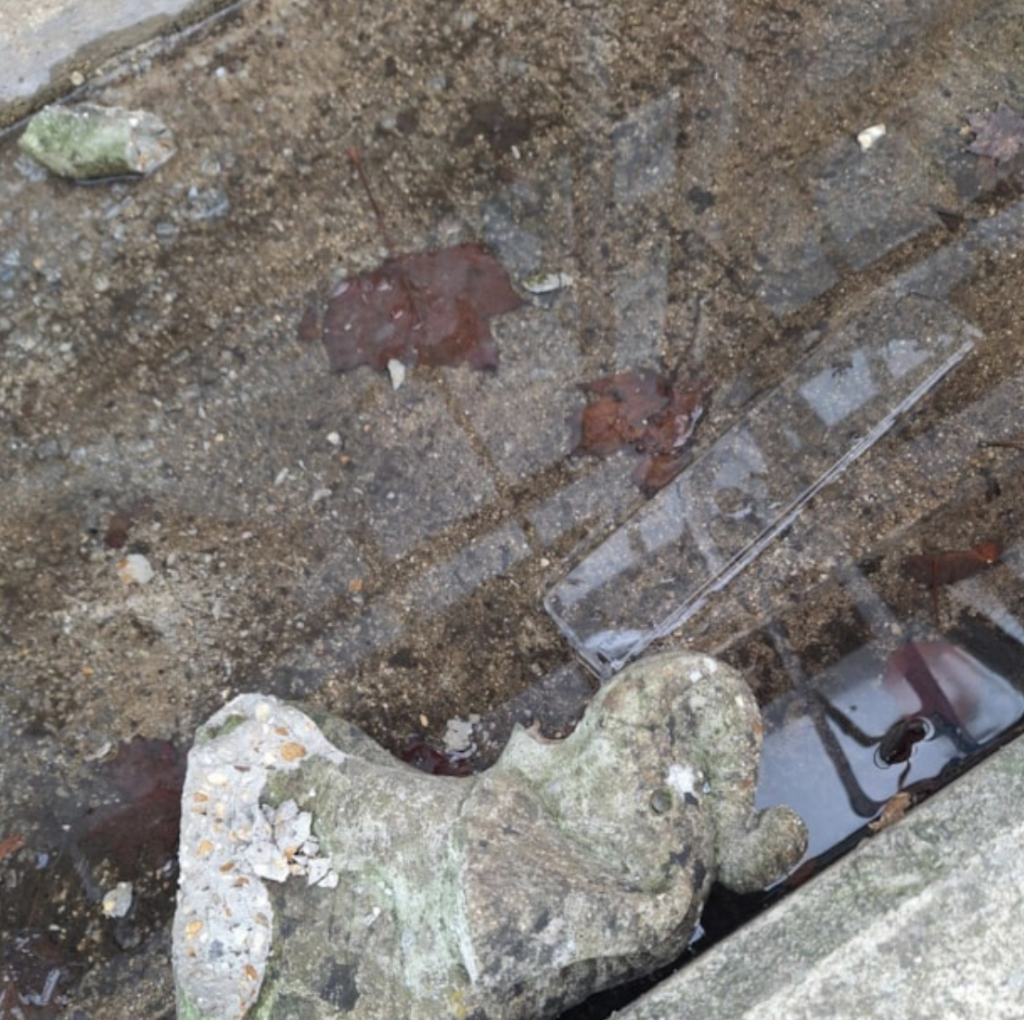 Thieves Smash into Corsham Co-Op Using Elephant Ornament