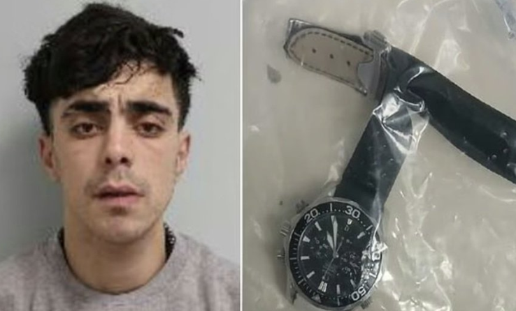 Asylum Seeker Jailed for Stealing £7,000 Omega Watch in Chelsea