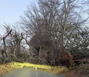 Brace for 65mph Winds as Met Office Drops Christmas Day Weather Warning