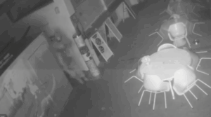 Beer Line Slashers Caught on CCTV in Midnight Attack at Saltdean Café