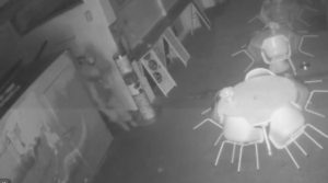 Beer Line Slashers Caught on CCTV in Midnight Attack at Saltdean Café