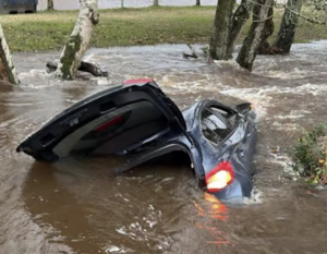 Driver Rescued After Car Swept Away in Fierce New Forest Flood