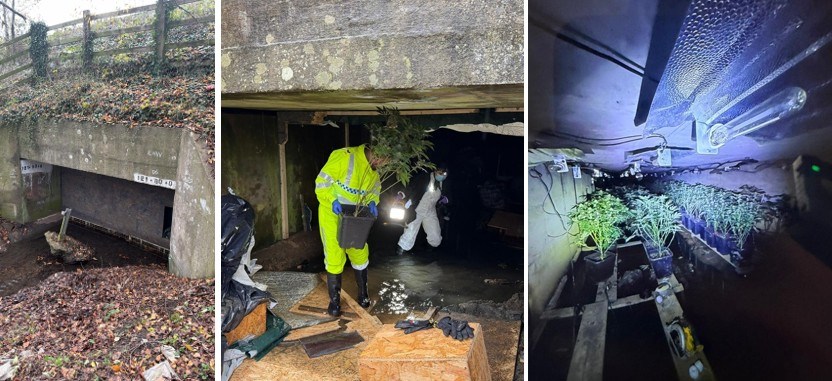 Huge Cannabis Farm Found Hidden Under M1 Motorway