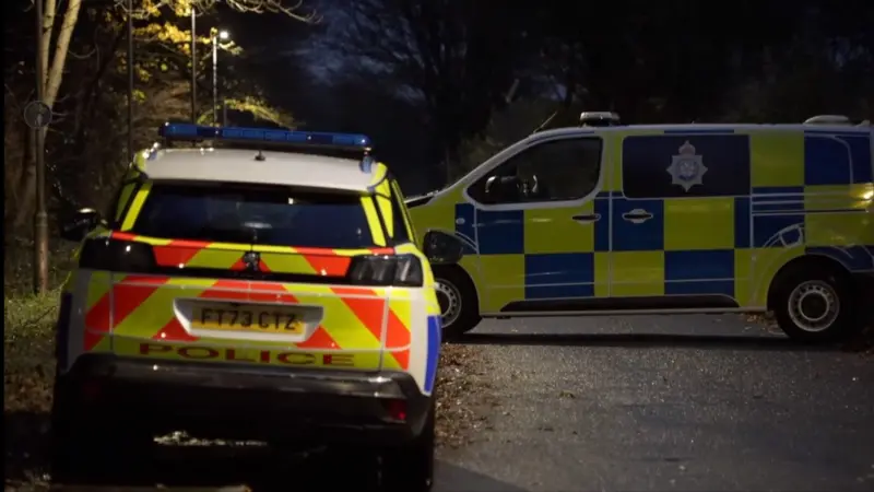 Teen Girl Killed in Horror Minibus Smash Near School