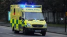 Toddler Suffers Serious Injuries in Shocking Swindon Dog Attack