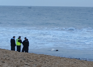 Toxic 'Palm Oil' Lump Strikes Kent Beaches – Dog Owners Beware!