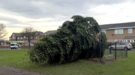 Two Men Arrested After Chopping Down Christmas Tree Hours After Lights Switch-On