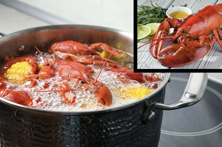 UK Bans Boiling Lobsters and Crabs Alive in Animal Welfare Shake-Up