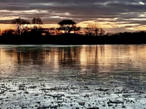 Appeal for Witnesses After Concern for Welfare Incident at Dinton Pastures