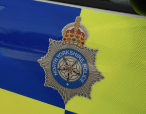 Bull on the Tracks: Police Forced to Shoot after Wild Ride Near Selby