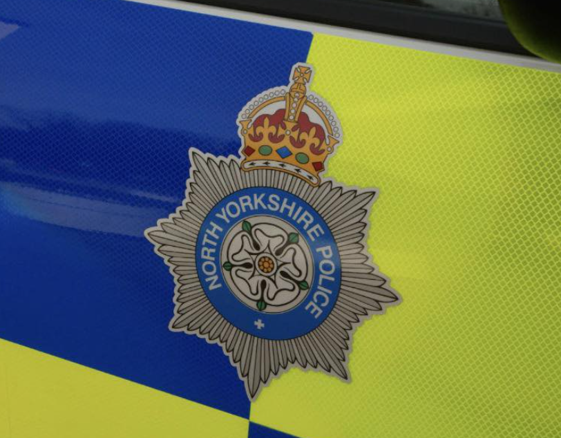 Bull on the Tracks: Police Forced to Shoot after Wild Ride Near Selby