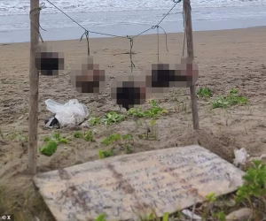 Horror on Ecuador Beach: Five Human Heads Hang from Ropes