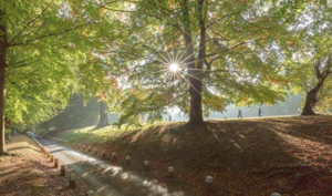 Indecent Exposure Shocker in Maidstone’s Mote Park
