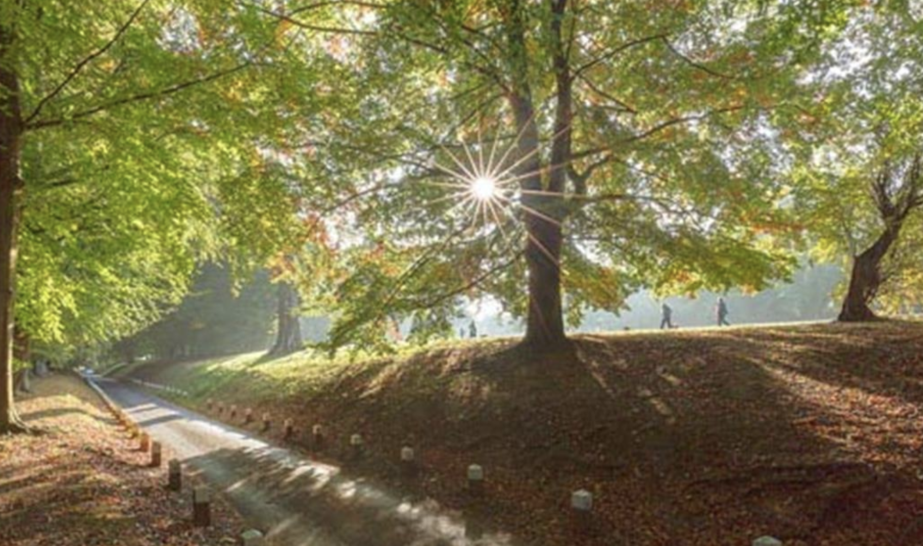 Indecent Exposure Shocker in Maidstone’s Mote Park