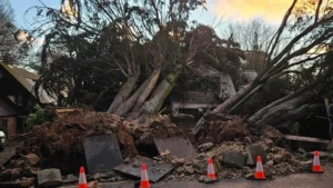 Man Killed as Storm Goretti Topples Tree onto Caravan in Cornwall