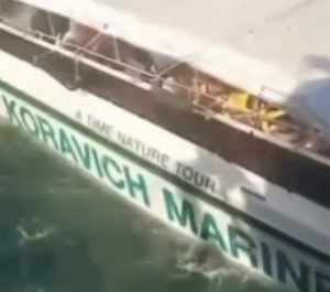 One Dead, Dozens Hurt in Tourist Speedboat Smash off Thailand