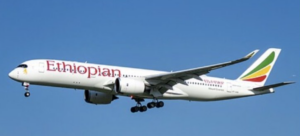 Somali Migrant Nabbed at German Airport Over UK Rape Charges