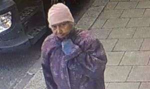 Urgent Police Appeal: Missing Woman Last Seen in Hounslow