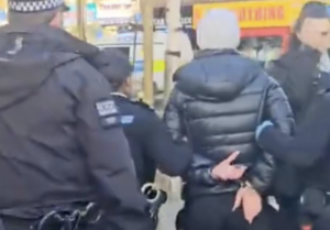 Woman Arrested by Six Cops for Feeding Pigeons and Fined £100 for 'Throwing Bread on the Floor'