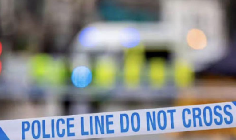 Firearms and Ammo Seized in Tipton Raid image