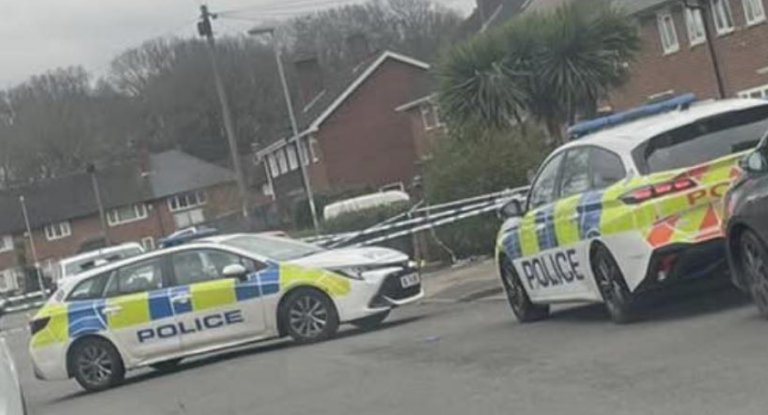 Four Nabbed and Gun Seized in Dramatic Shard End Police Stop image