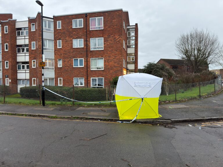 WhatsApp Image 2026 02 24 at 11.16.05 (9)